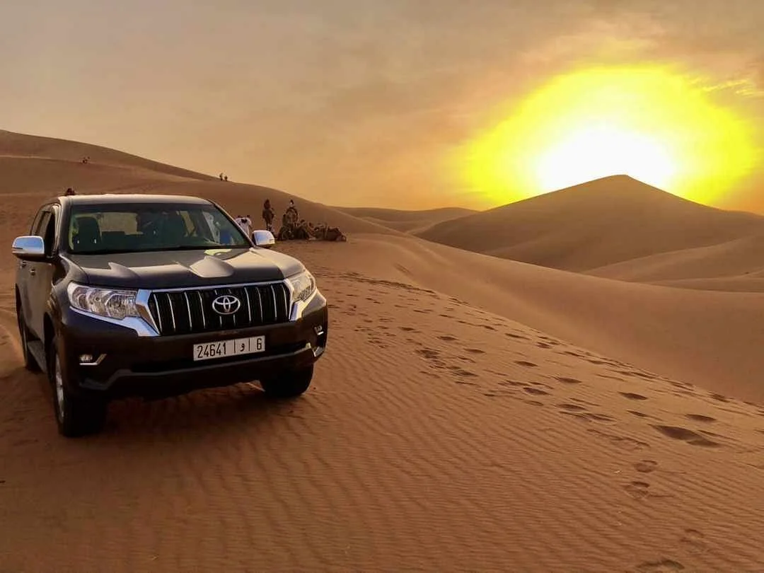 Caravane Du Bedouin