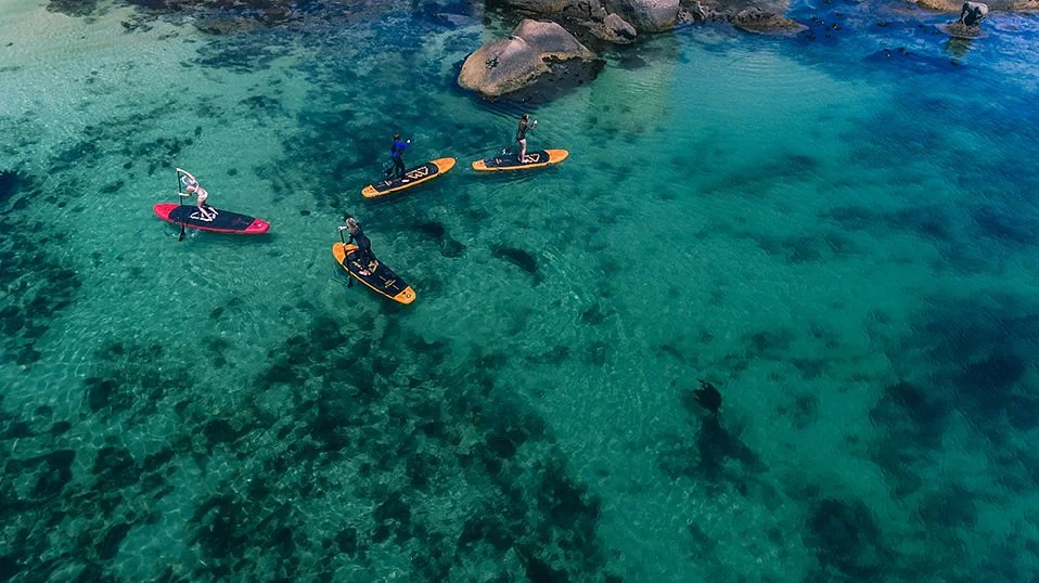 Surfshack Paddle Board Centre