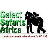 Rwanda Safari Trips - Gorilla Trekking Day Tour