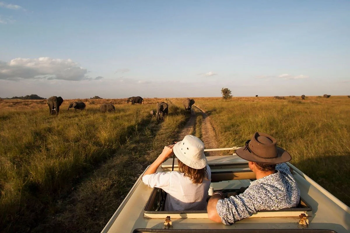 Diani Wilderness Safaris