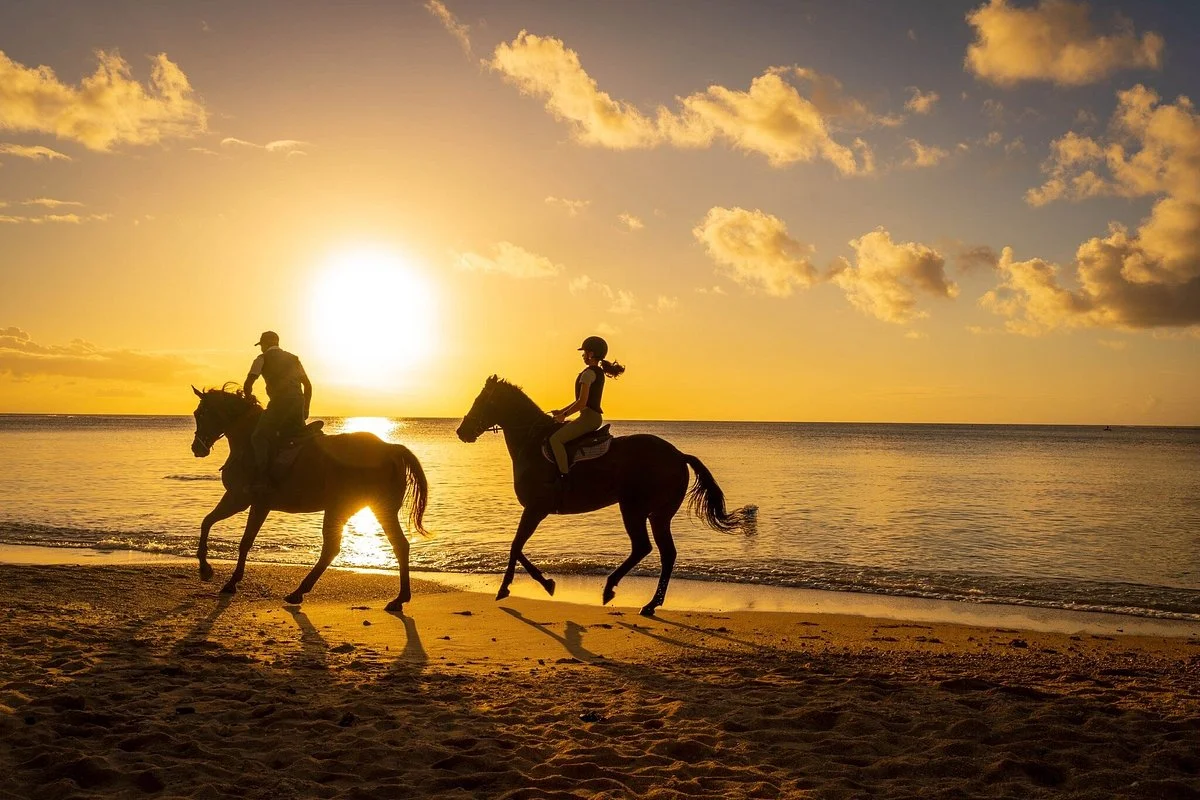 Maritim Equestrian Centre