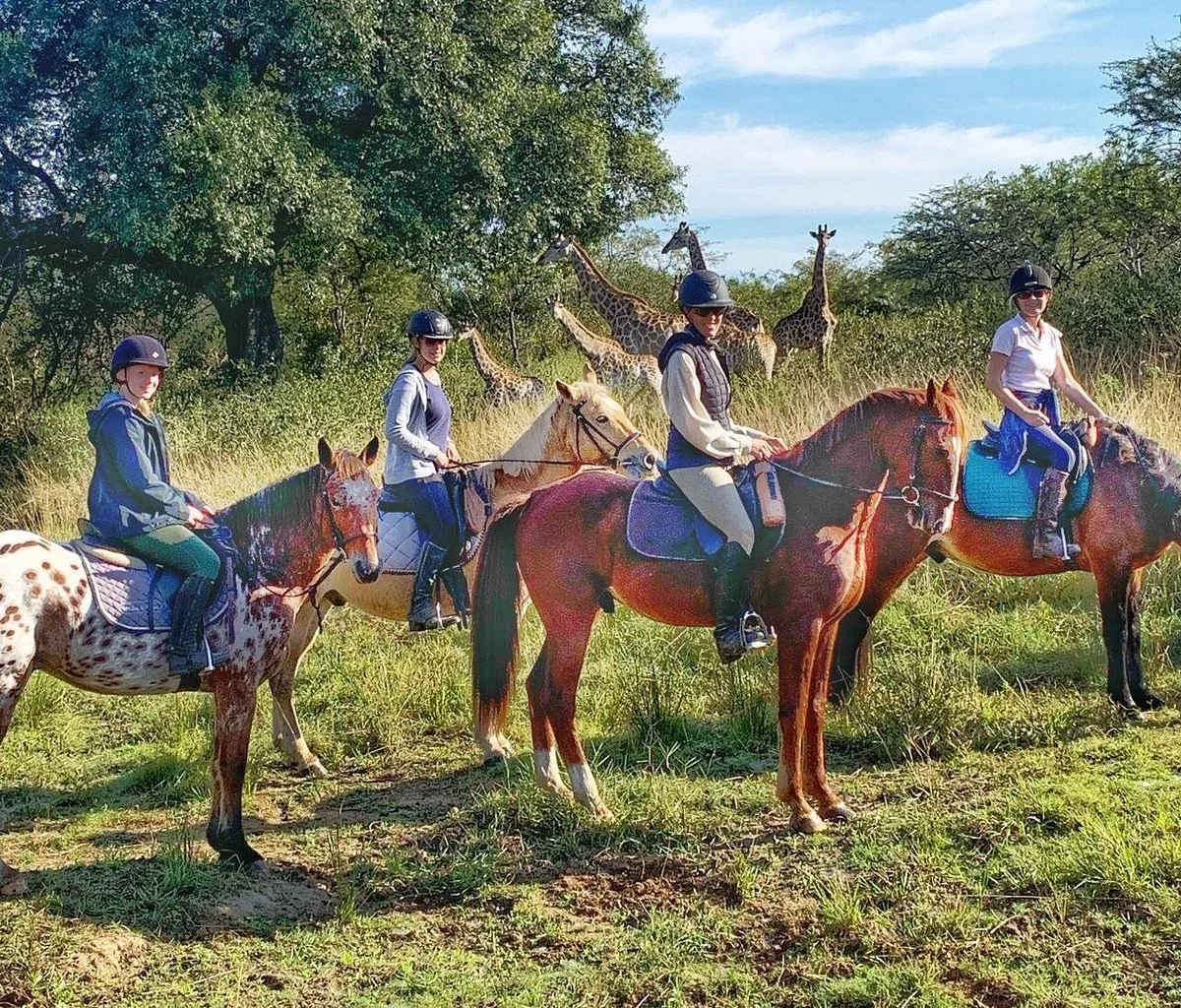 The Horse Safari Company