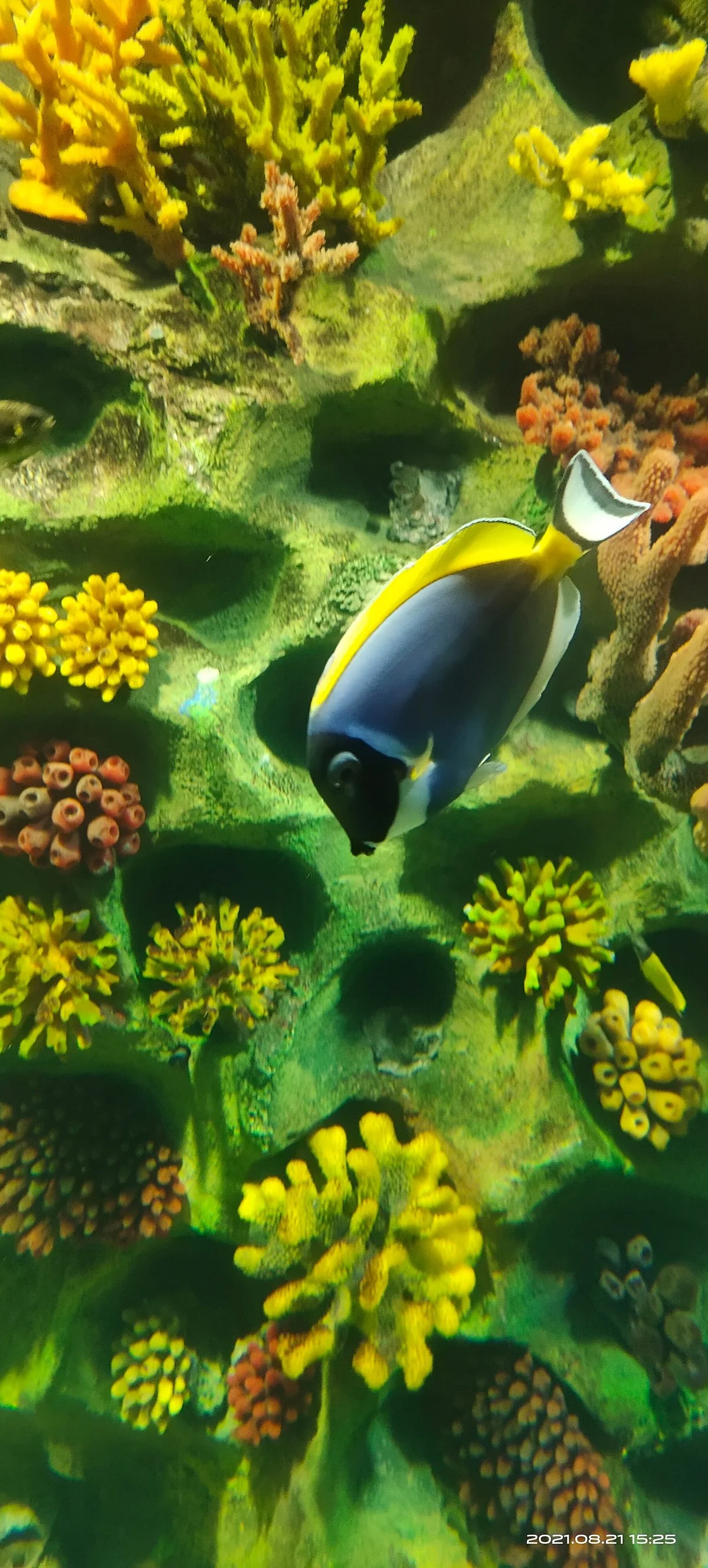 VGP Marine Kingdom
