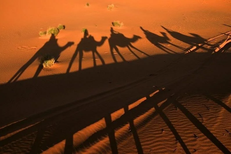 Active Camel Travel