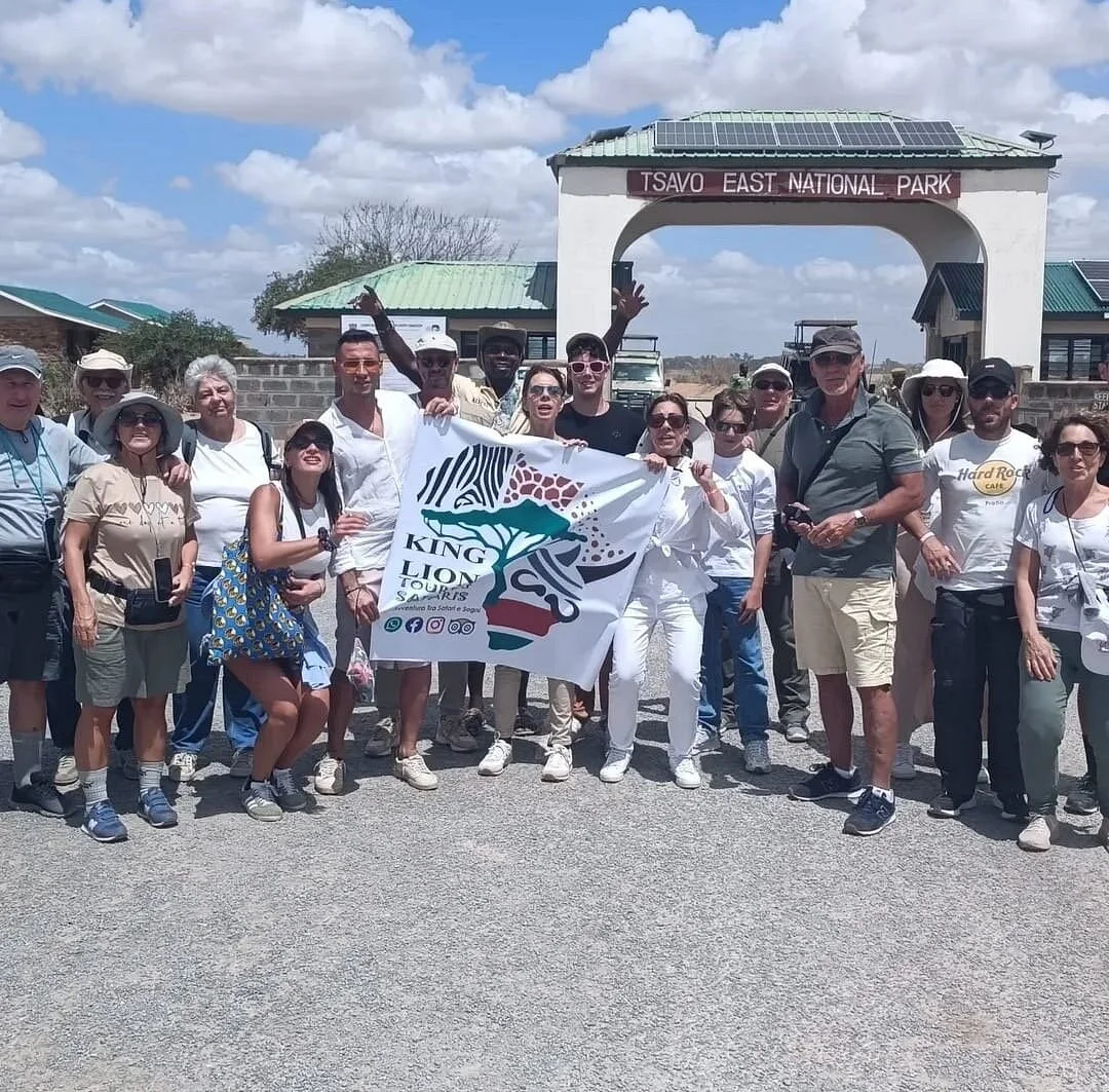 King Lion Tours And Safaris