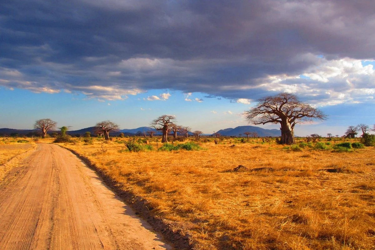 CRA Safari Tours