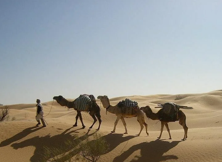 Silence Du Desert