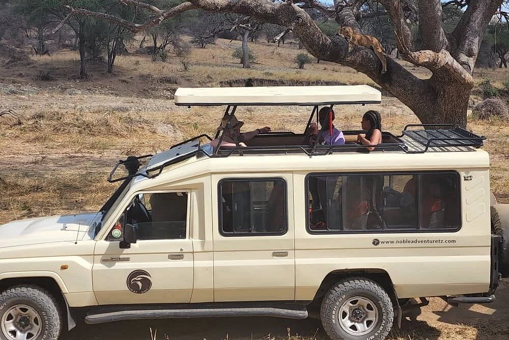 Noble Adventure Tanzania - DMC