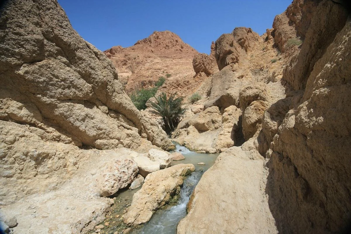 Sahel Voyages - Day Tours