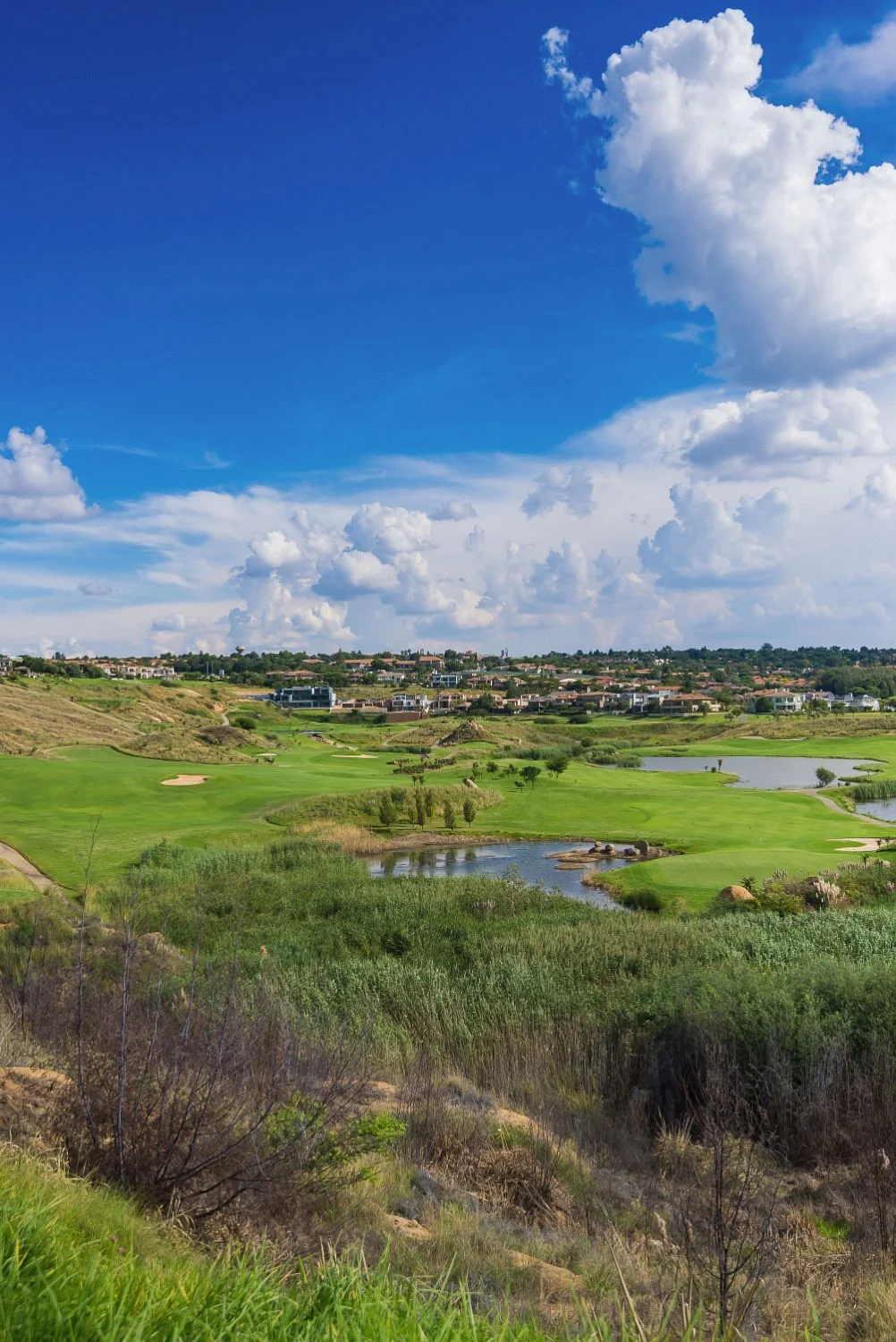 Eagle Canyon Golf Estate