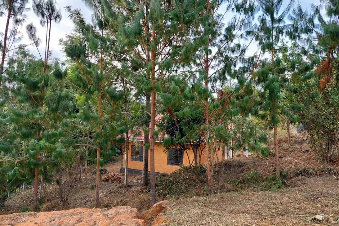 The Pines and Fruits Farm House