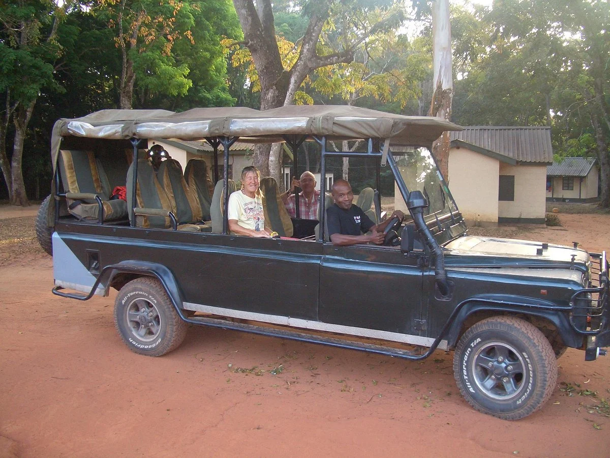Safari Joe