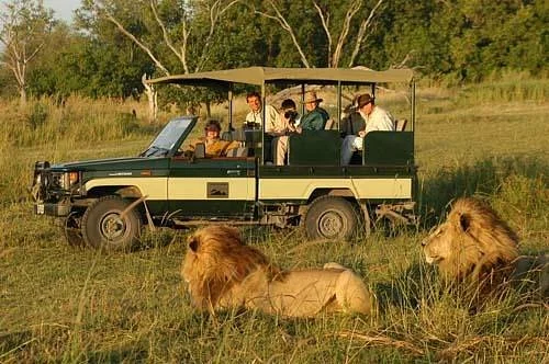 Safari Kenya Tanzania