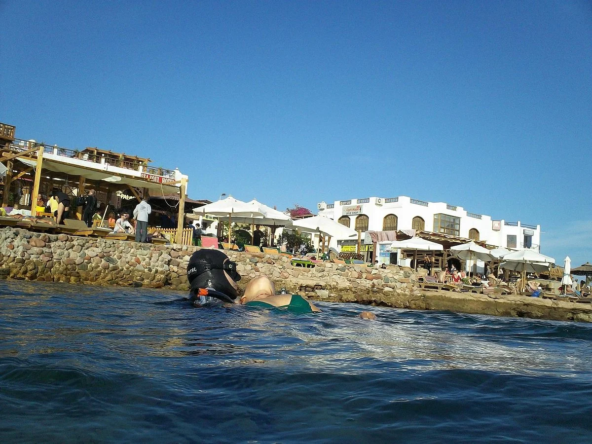 Immersion Freedive Academy and Shop