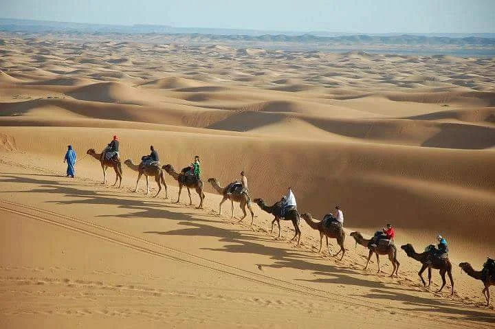 Morocco Enjoy Tours