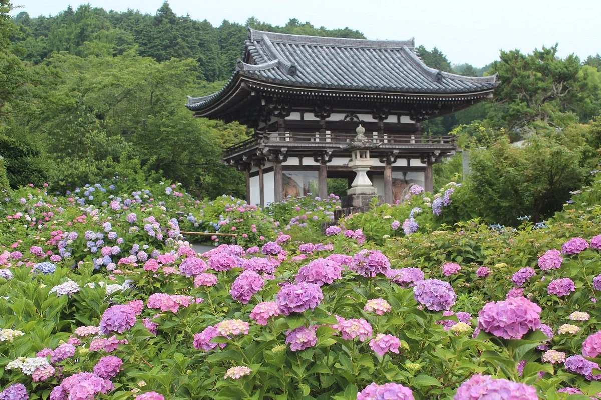 Kannonji Temple