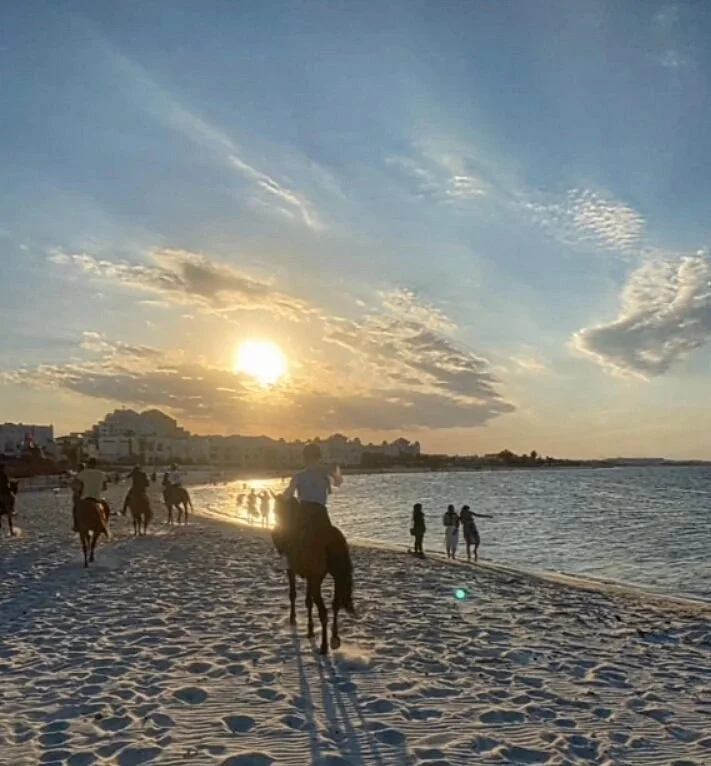 Zinebledi Horse Riding Club