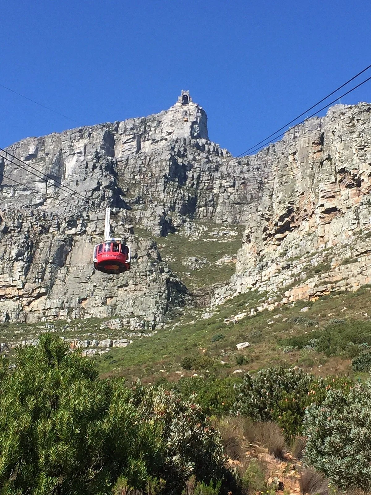 Cape Tours and Adventures