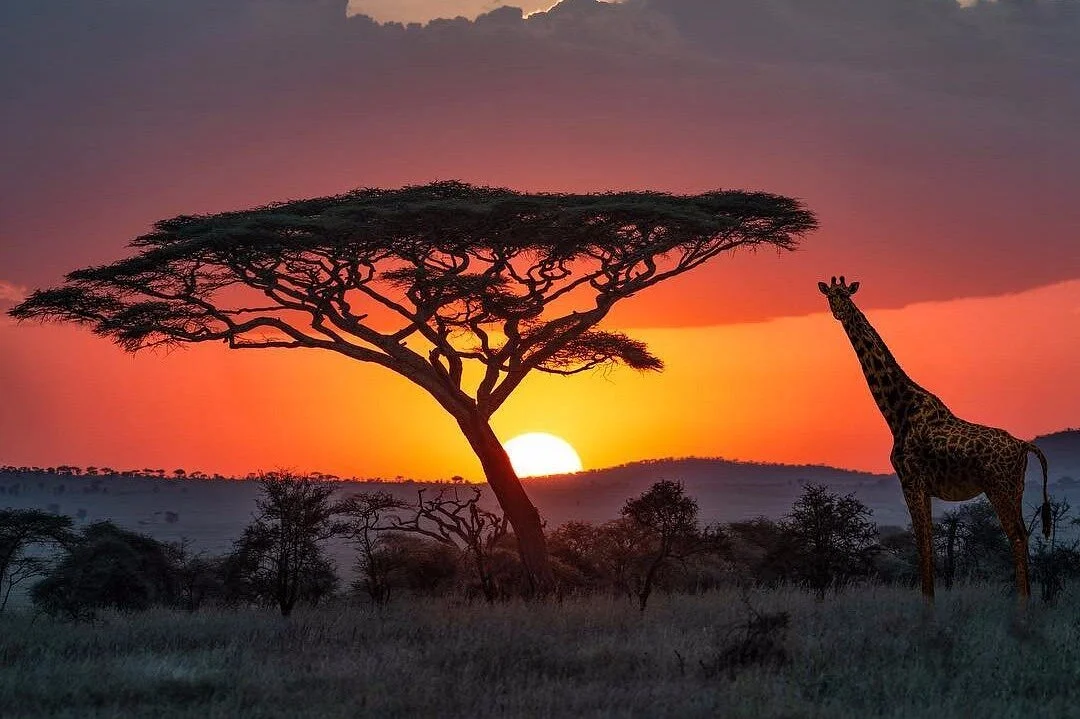 Africa Sights Safaris
