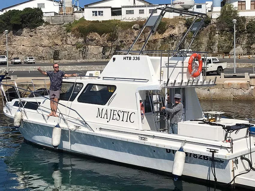 Majestic Cruising