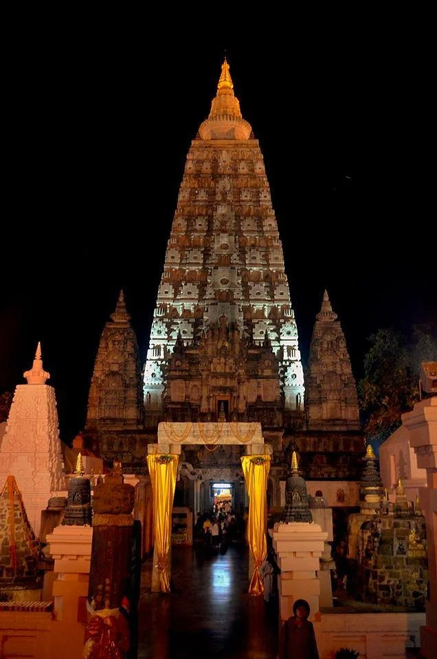 Bodhi Tree