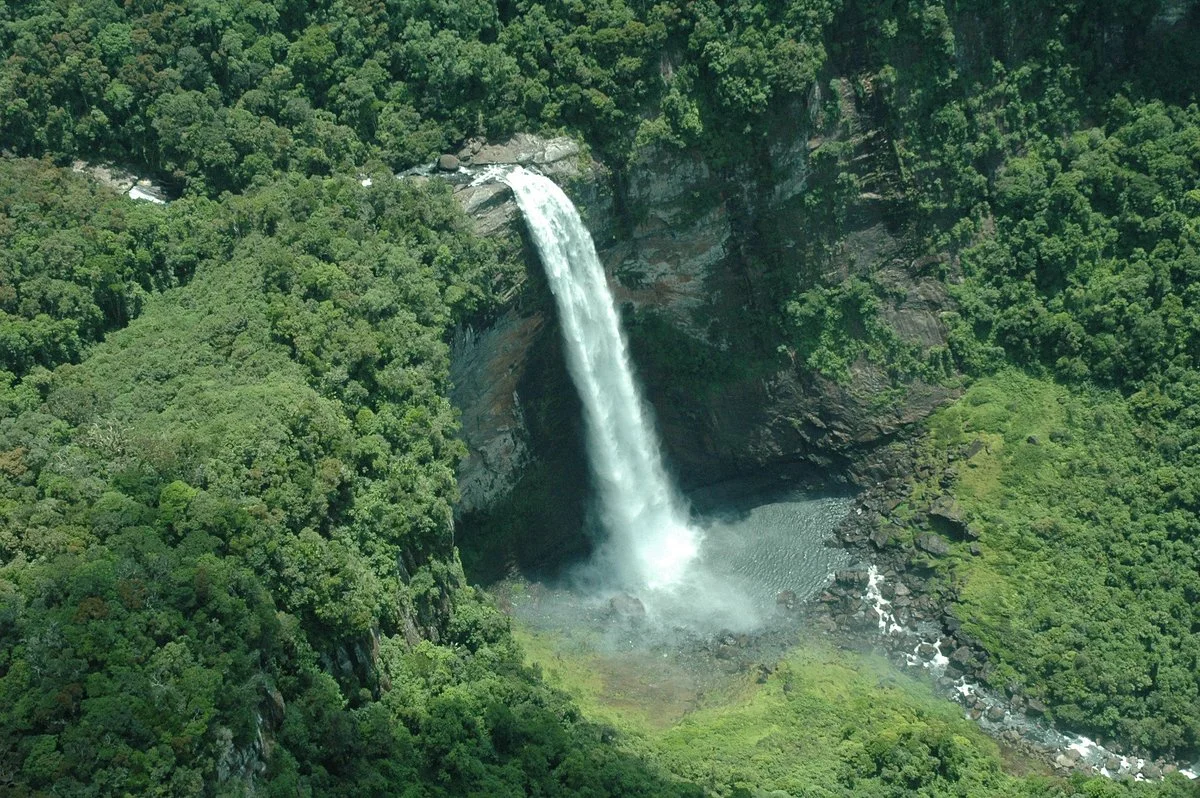 Gasikara Travel