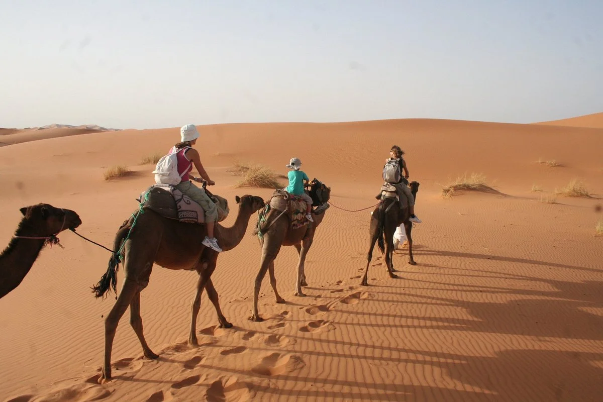 Desert Raid Sahara