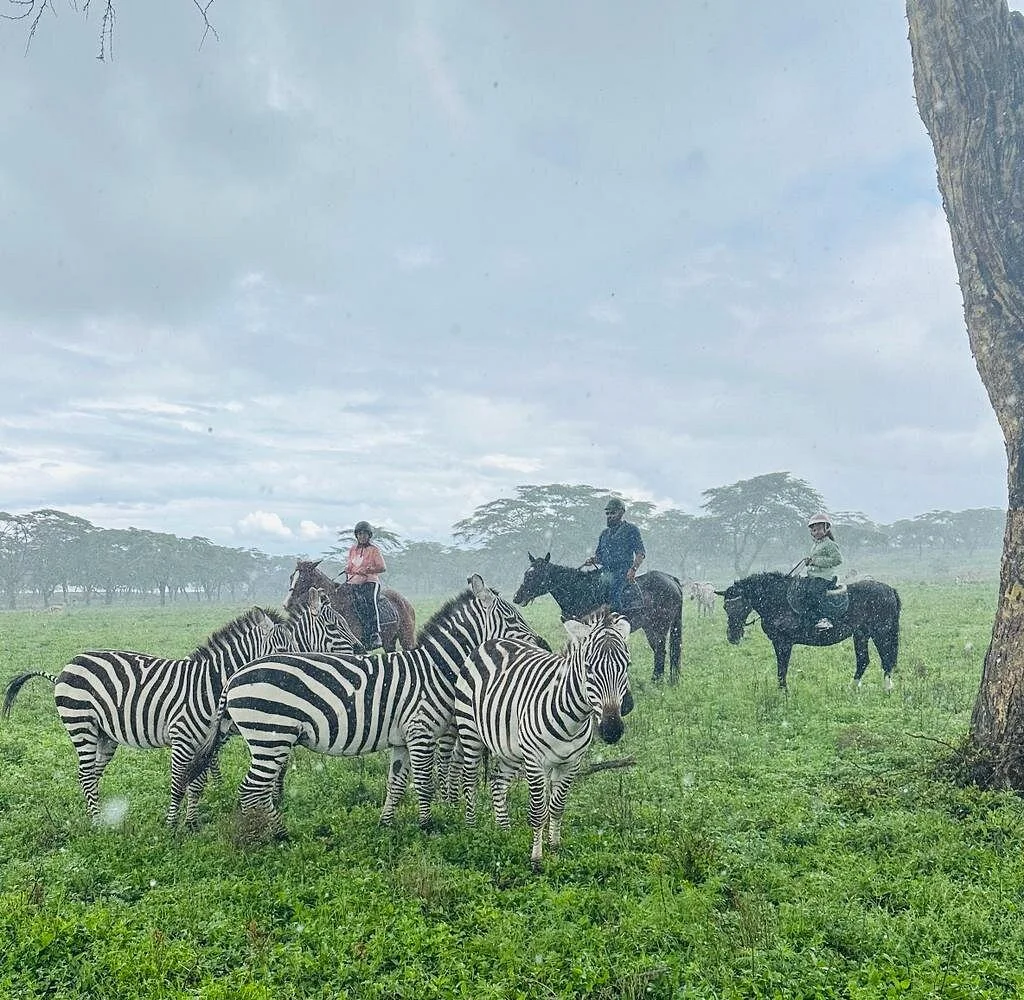Sanctuary Horseback Safaris