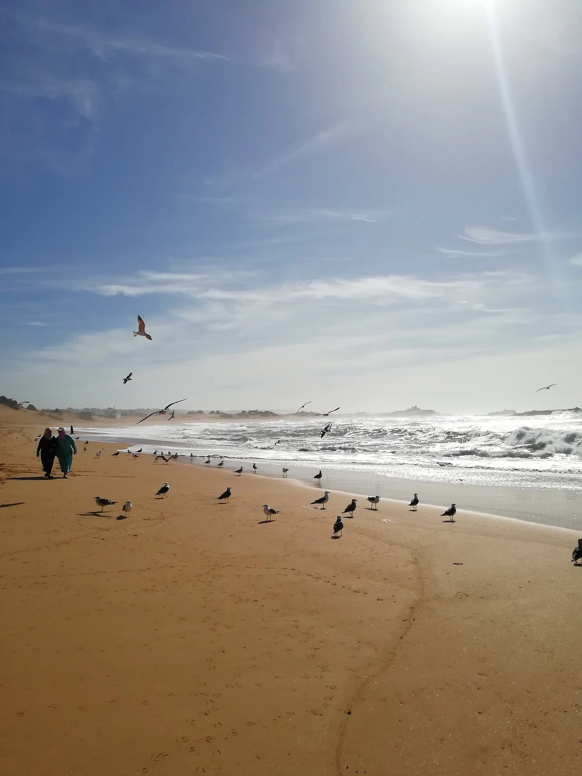 Ibra Morocco Tours