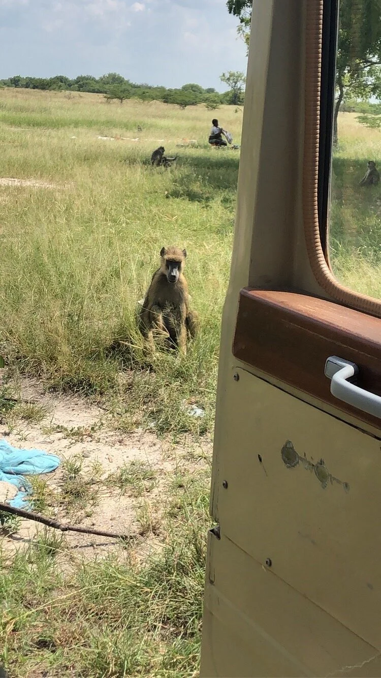 Add Tours Tanzania