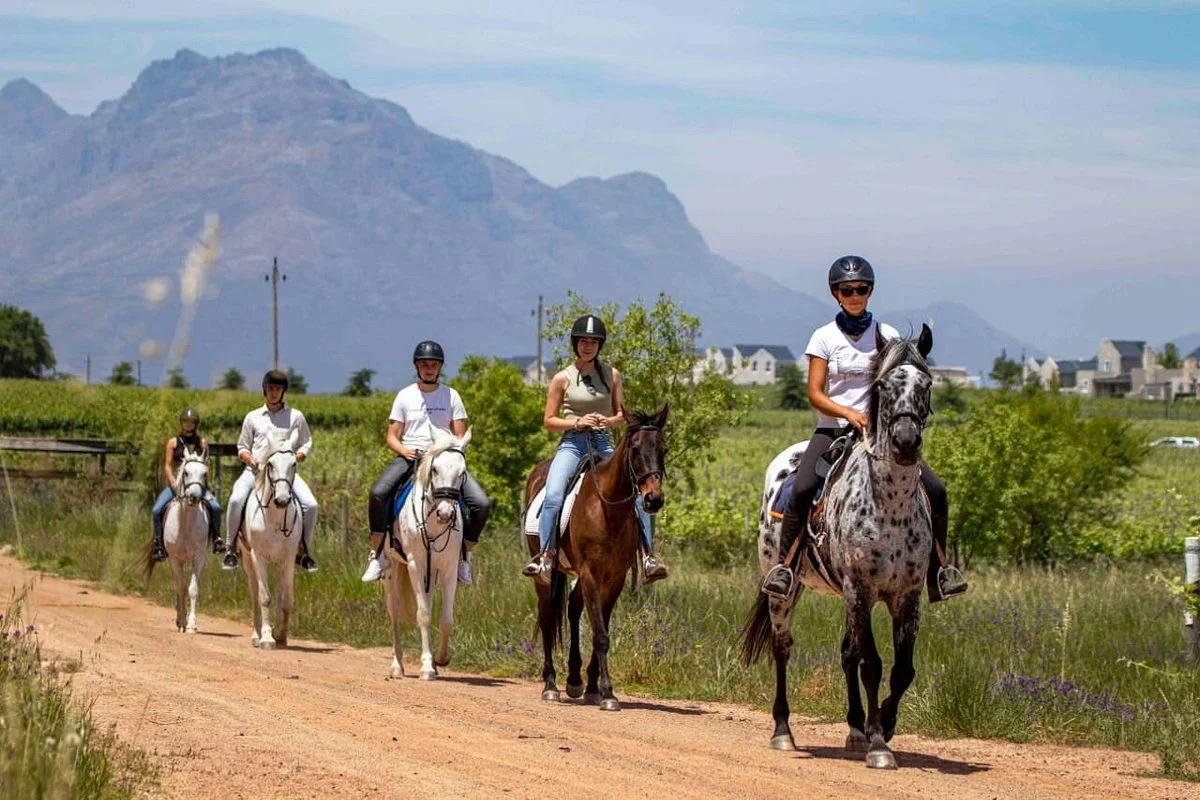 Equine Sport Centre