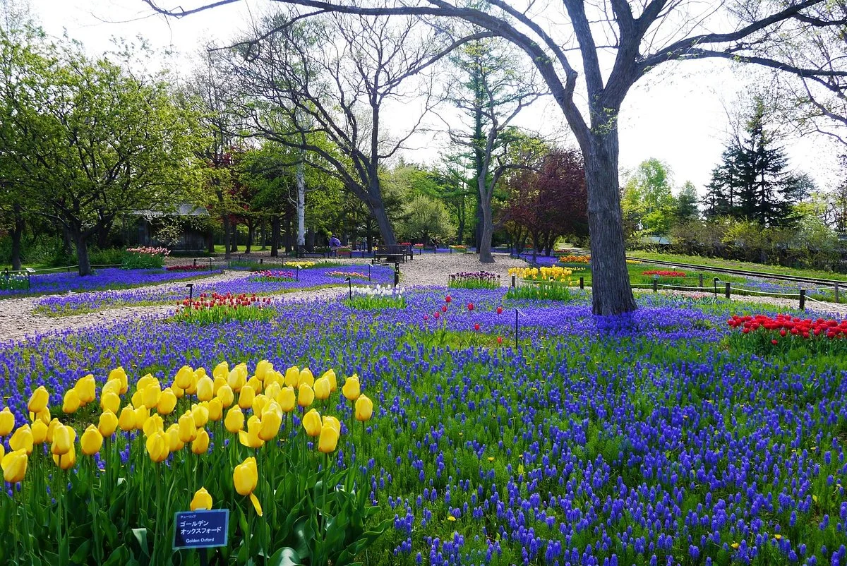 Yurigahara Park