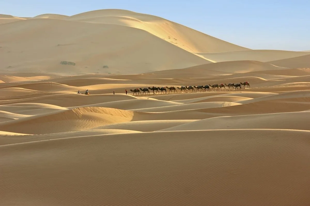 Dima Tours - Private Day Tours