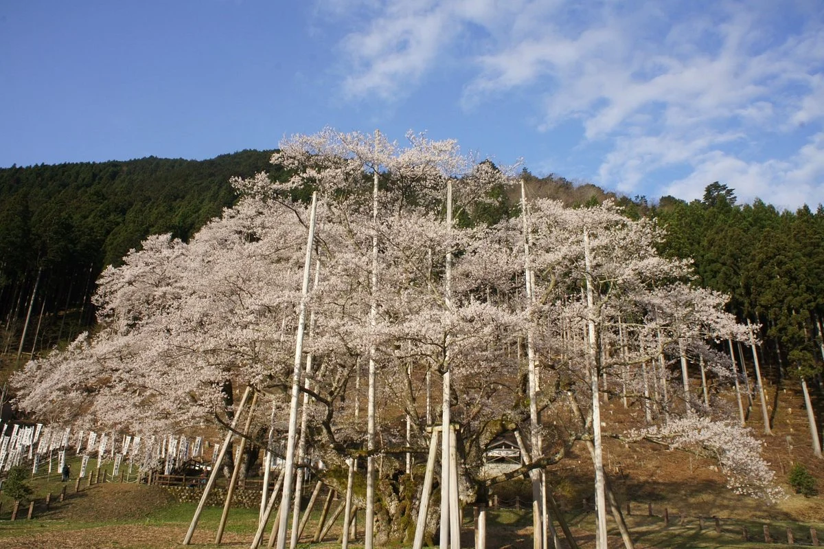 Usuzumi Park