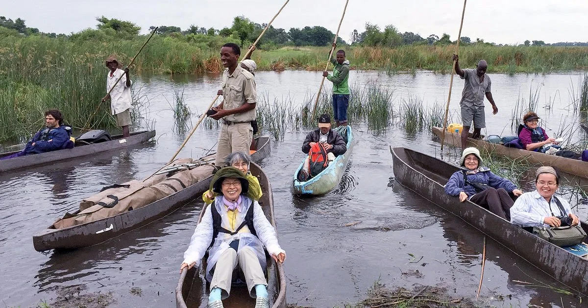 Wild Ridge Bush Trails Safaris
