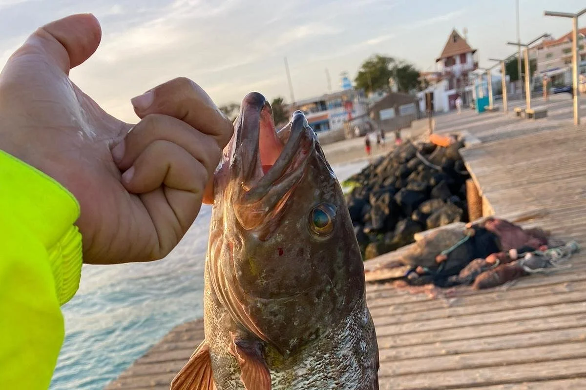 Go Fish Cabo Verde