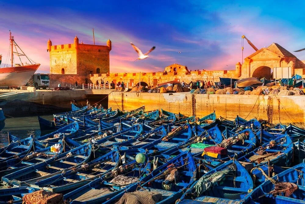 Morocco Explorations