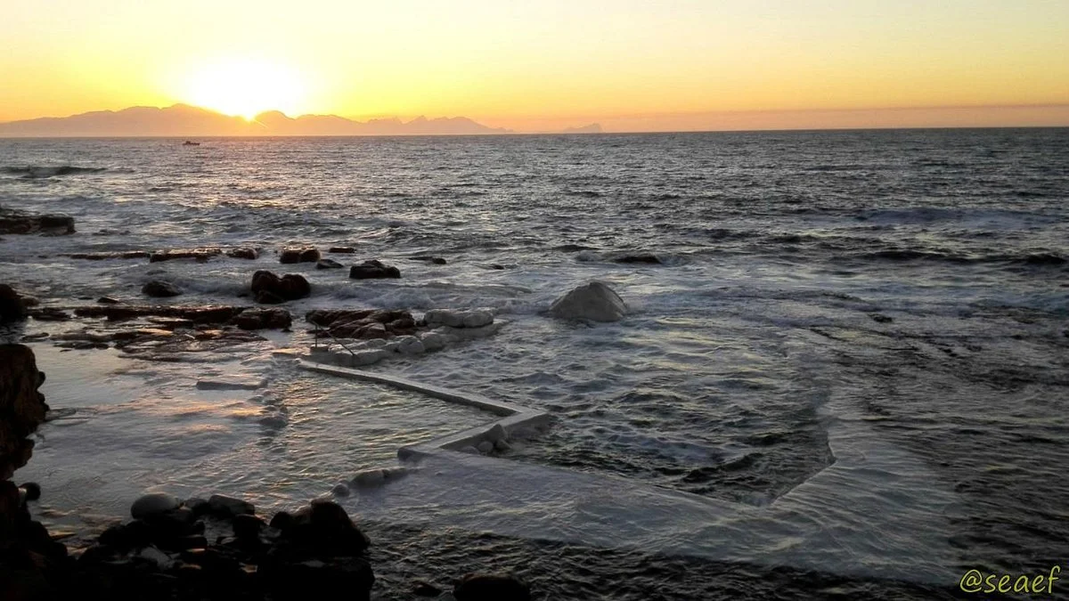 Wooley's Tidal Pool