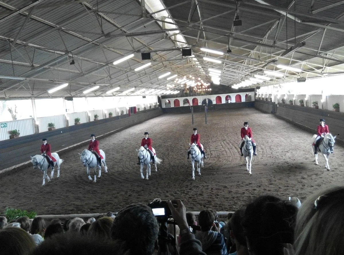 The South African Lippizzaners