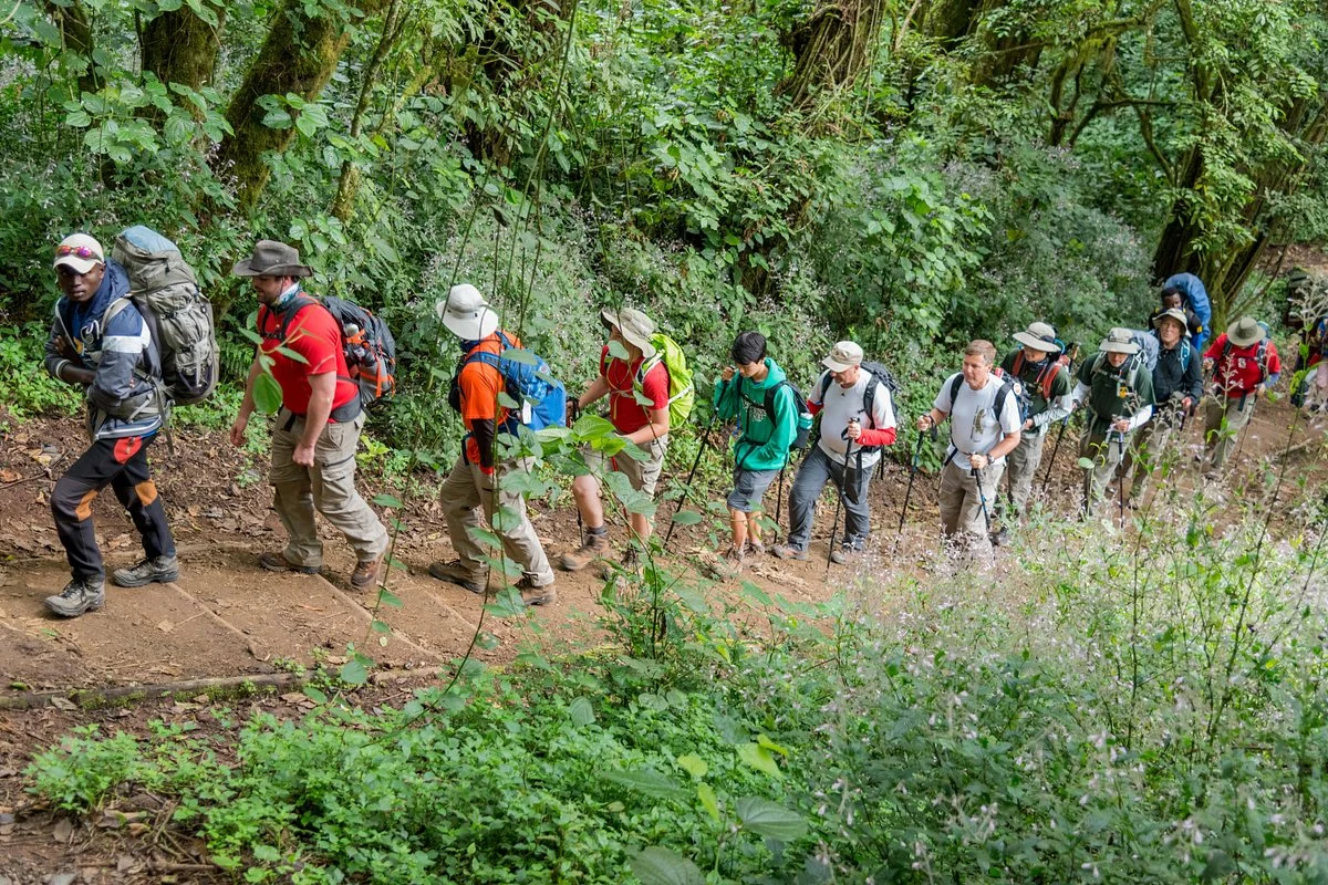 Phenomena Expedition
