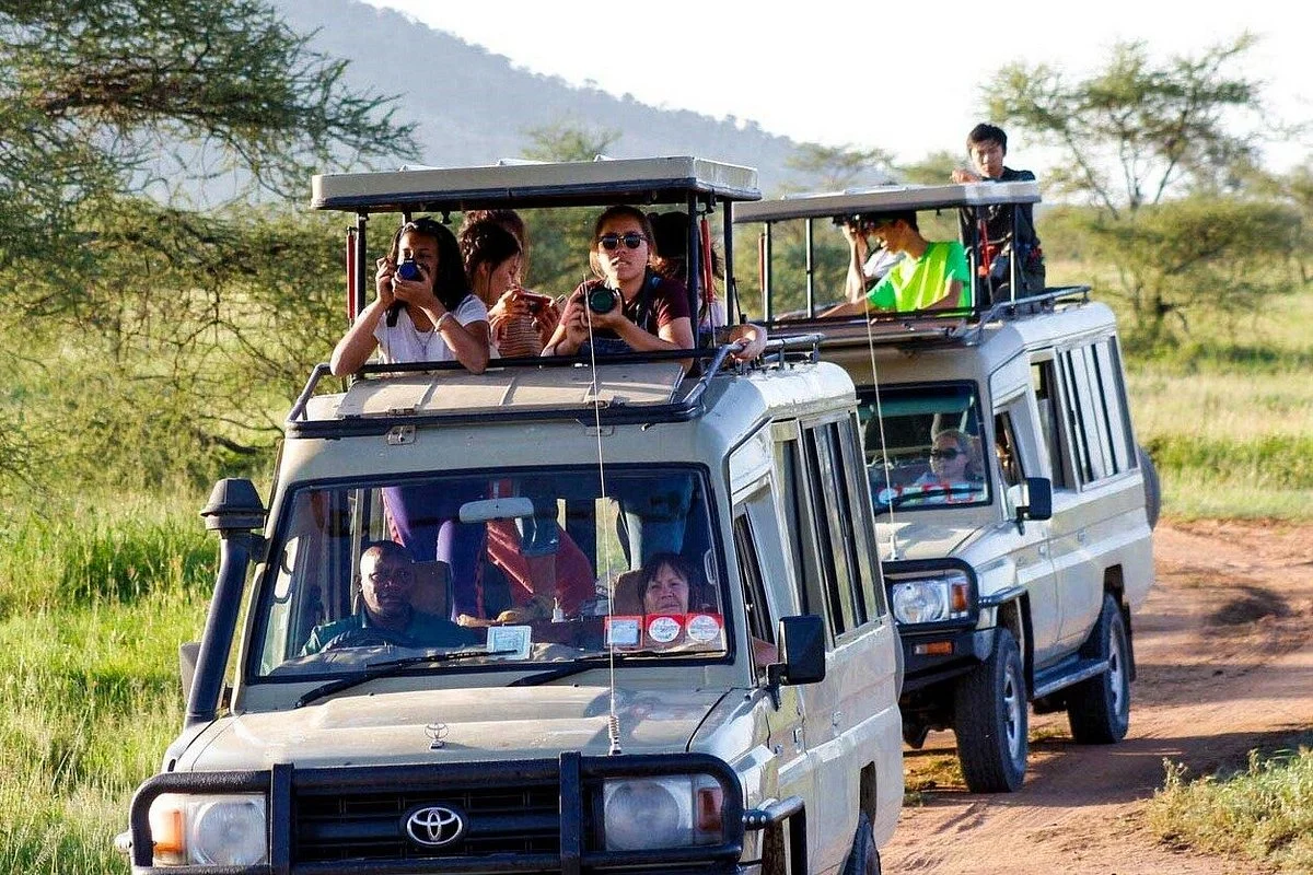 On the Other Side Safaris