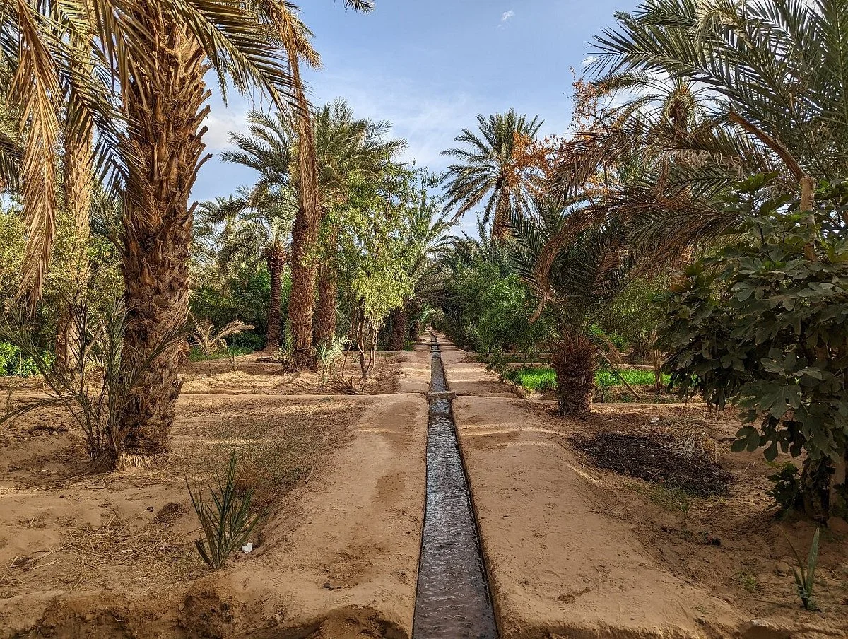 Hassilabied Gardens