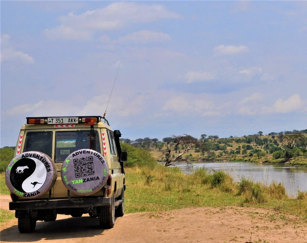 African Addictive Adventures / A.A.Adventures