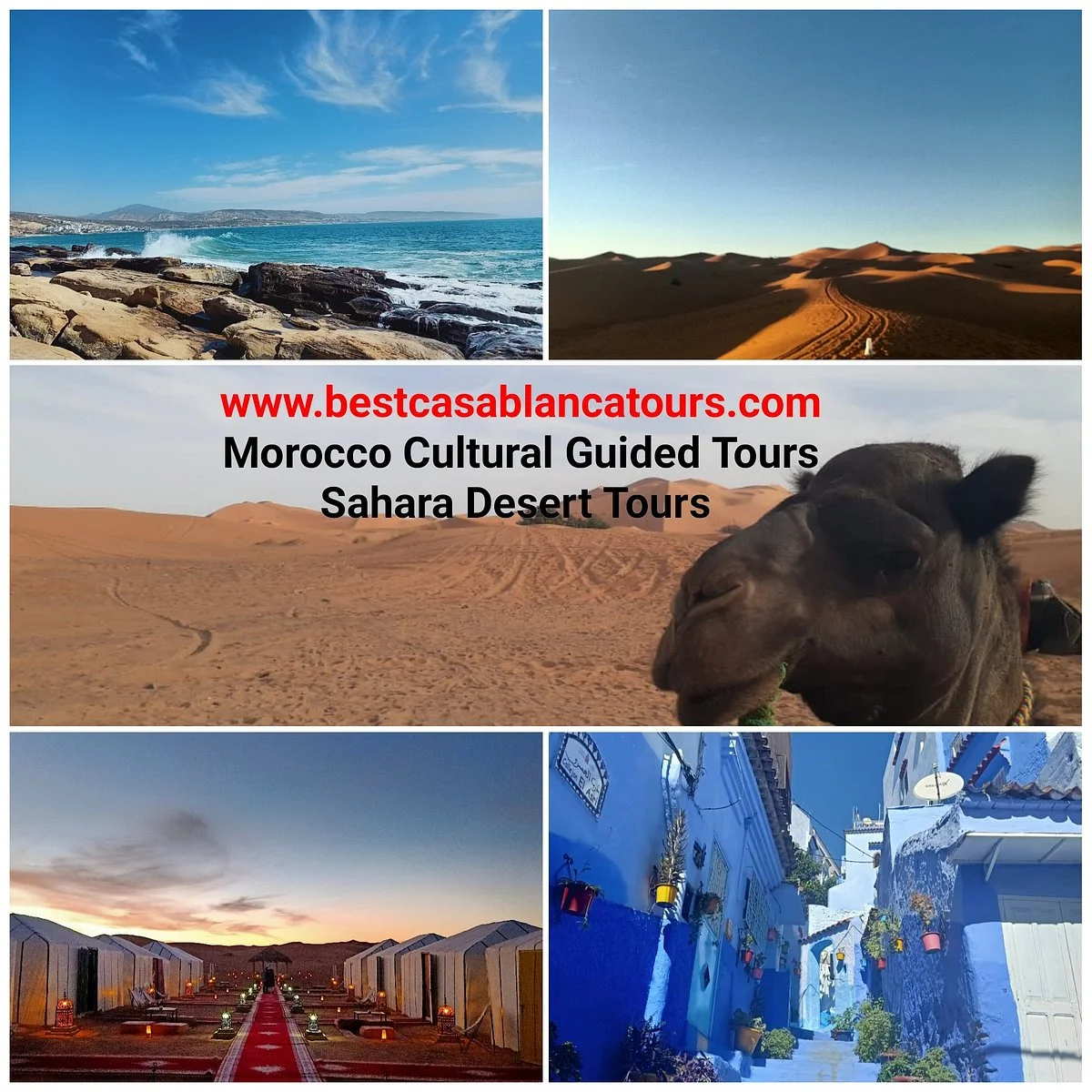 Best Casablanca Tours