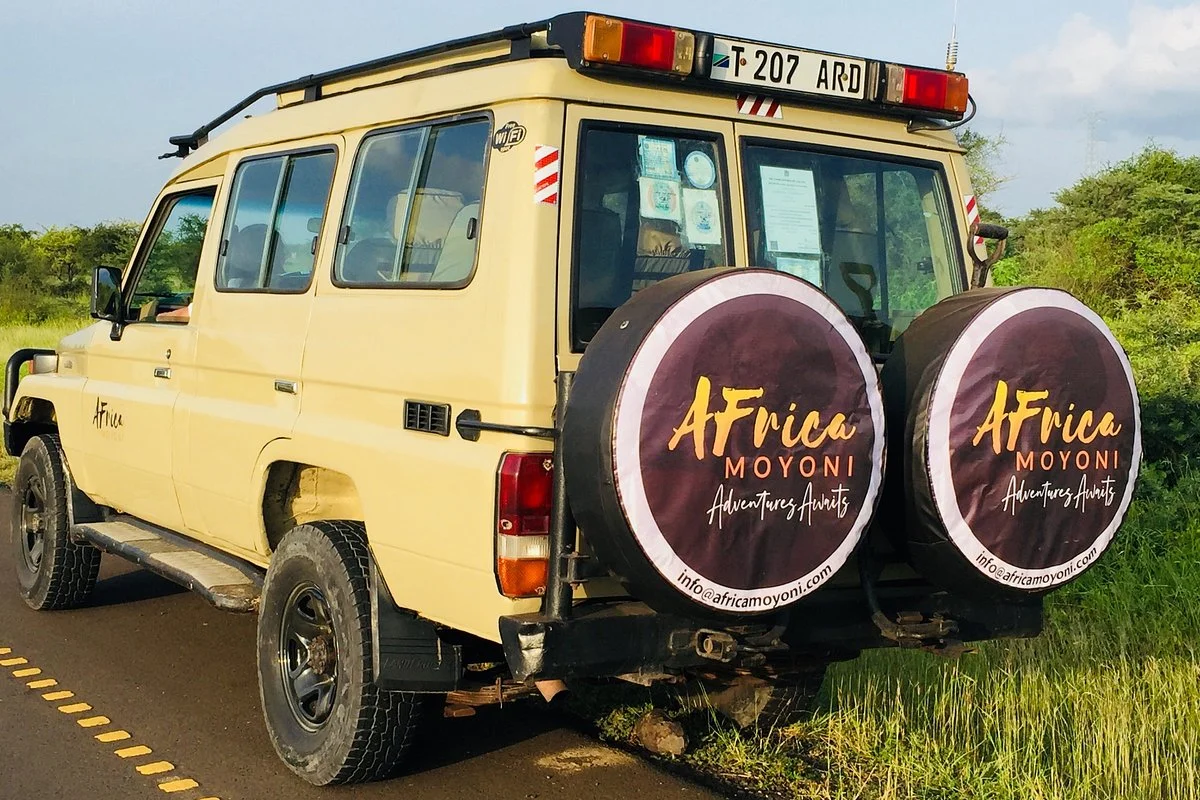 Africa Moyoni Safaris