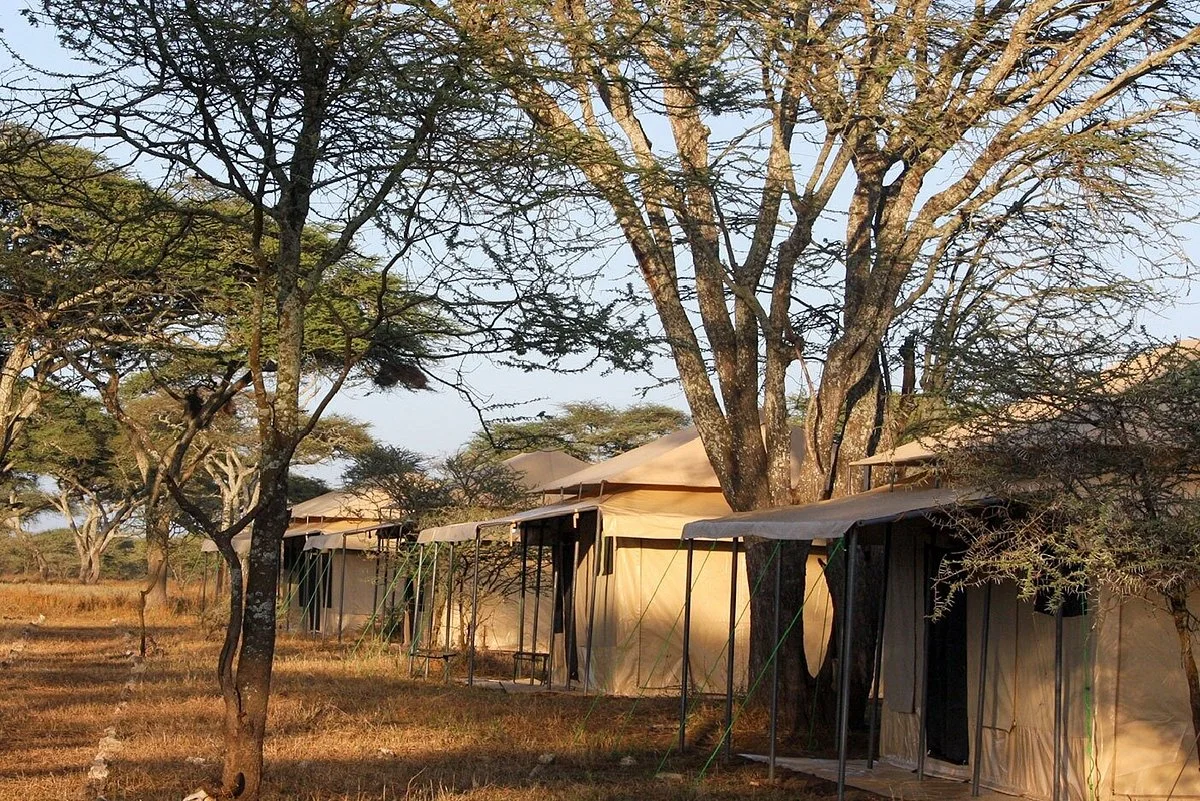 serotentedcamp