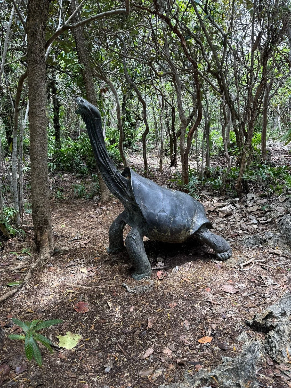 Mauritian Wildlife Foundation (MWF)