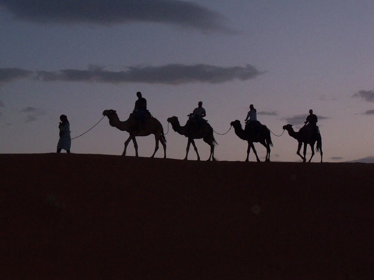 Tours in Marrakech