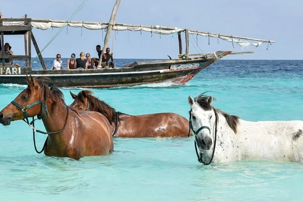 Horse Riding Nungwi