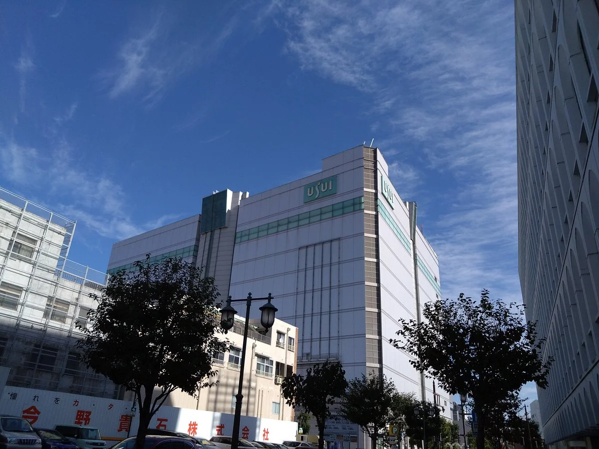 Usui Department Store